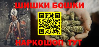 гашик Кингисепп