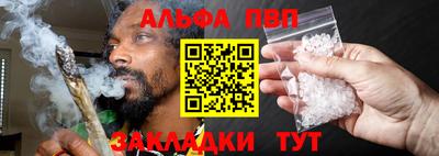 гашик Кингисепп