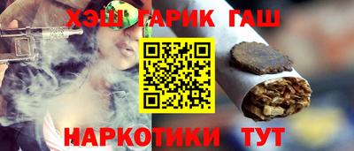 гашик Кингисепп