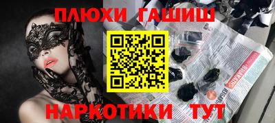 гашик Кингисепп