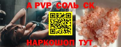 гашик Кингисепп