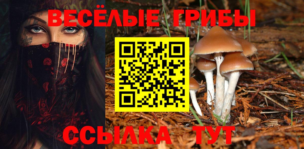 Краснознаменск  Галлюциногенные грибы мухоморы  даркнет сайт  Вход с VPN  Псилоцибиновые грибы Cubensis 